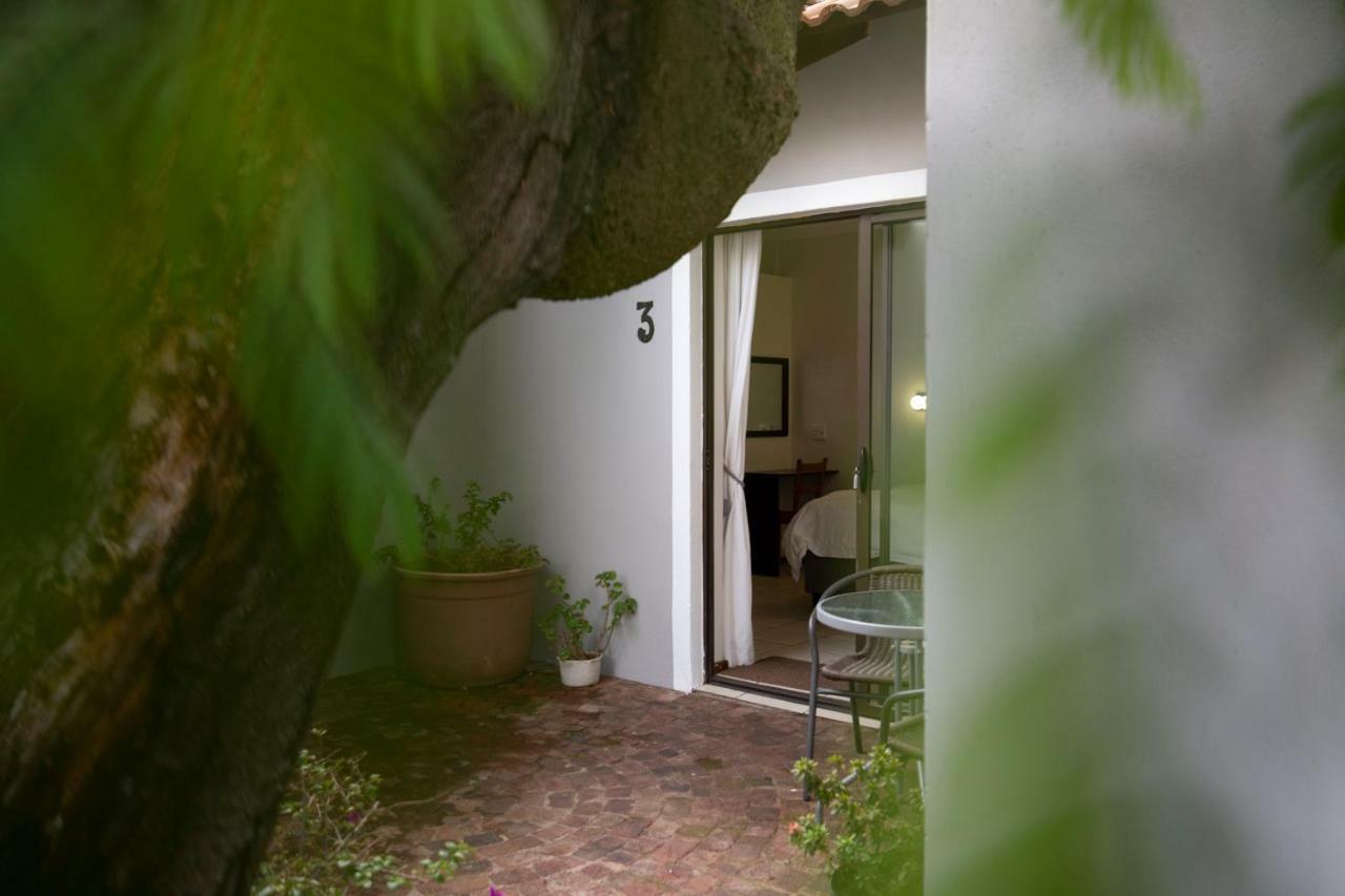 בוקסבורג Angelica Guest House מראה חיצוני תמונה